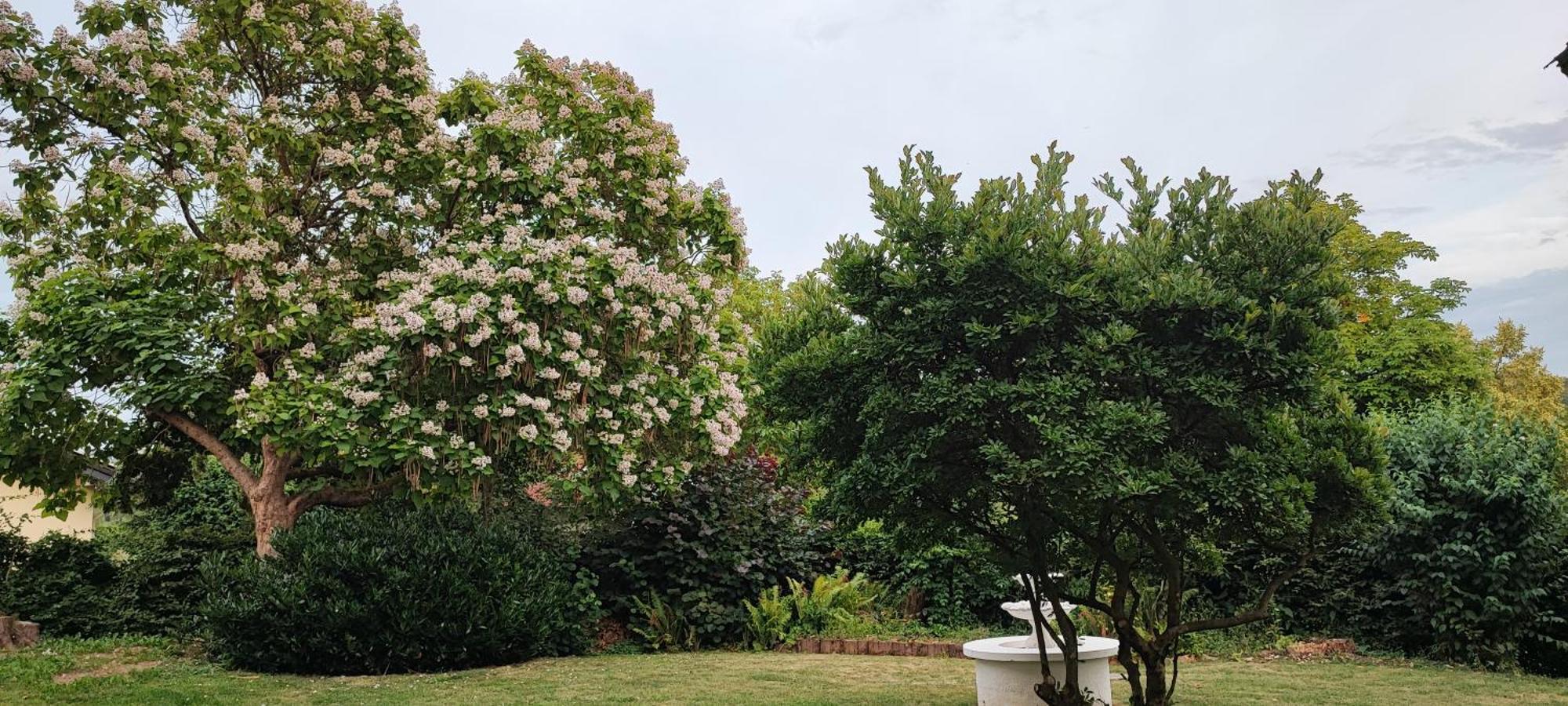 Ferienwohnung Westerwaldblick Grosszuegige Wohlfuehloase Mit Terrasse Oberelbert المظهر الخارجي الصورة